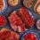 Typical Spanish concept of tapas.